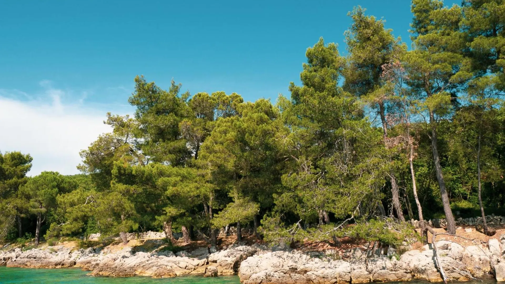 Holiday Home Larus By Interhome Malinska Croatia